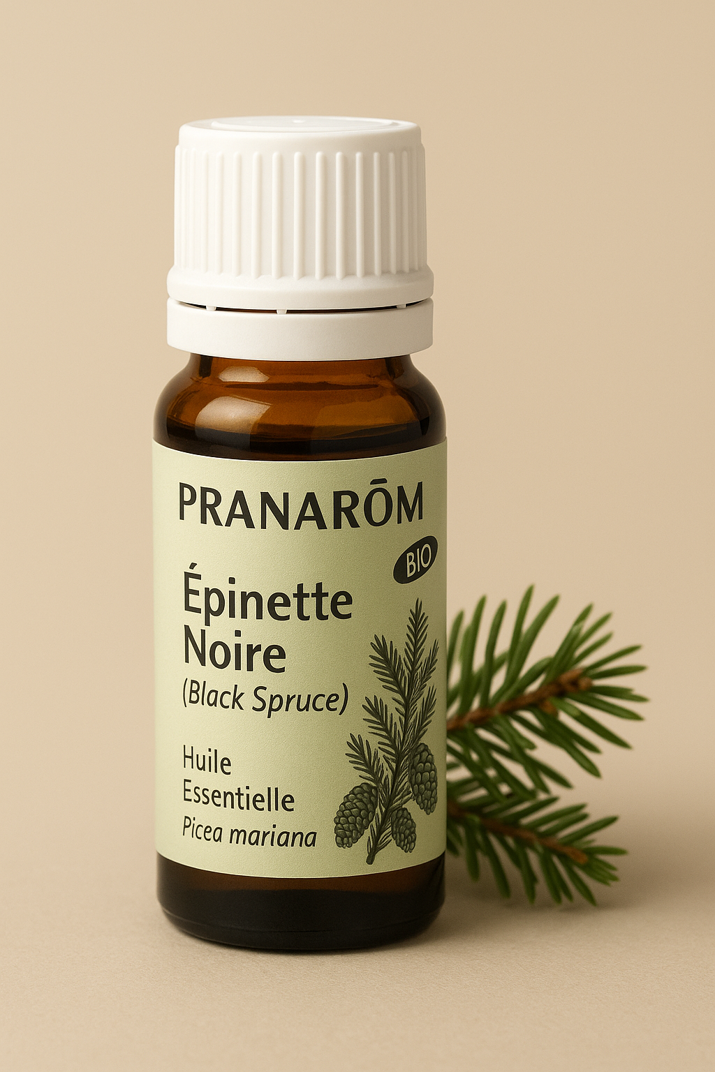 Huile essentielle d’Épinette Noire – Respiration, Énergie & Ancrage | 10 ml