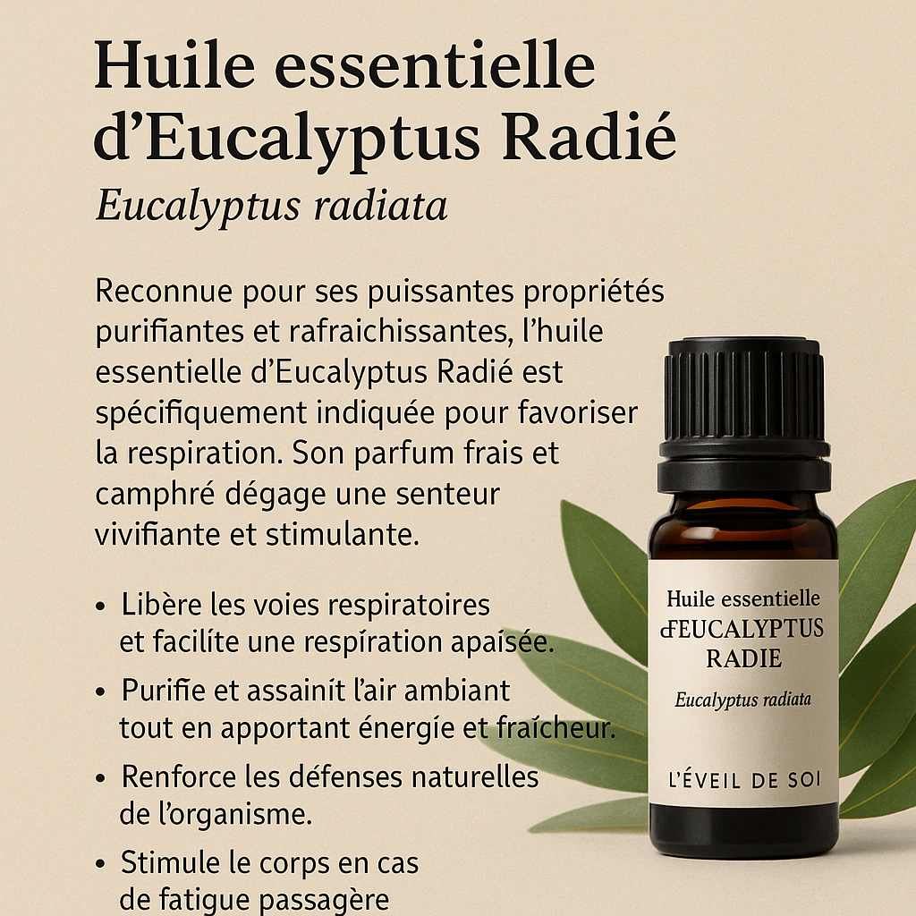 🌿 Huile essentielle d’Eucalyptus Radié – Respiration & Immunité Naturelle