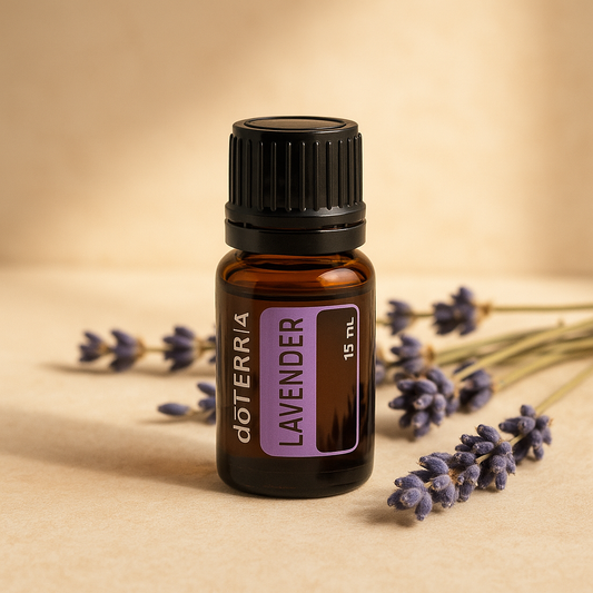 Huile Essentielle de Lavande Fine – Sommeil, Stress & Peau – 10 ml