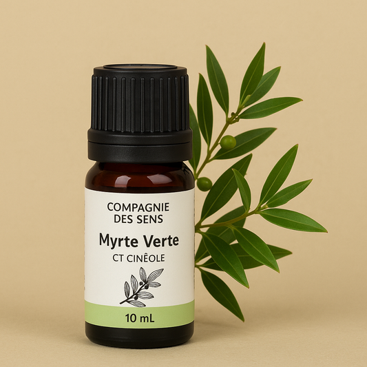 Huile Essentielle de Myrte Verte (CT Cinéole) – Respiration & Purification