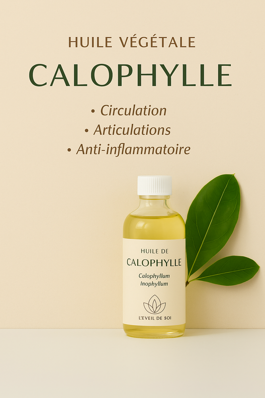 Huile de Calophylle (Tamanu)  Huile végétale – Calophyllum Inophyllum