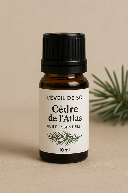 🌲 Huile essentielle de Cèdre de l’Atlas – Ancrage, Force & Clarté intérieure (10 ml)