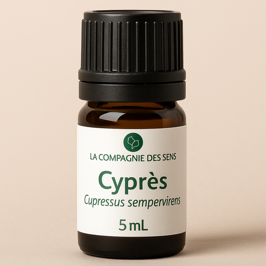 Huile essentielle de Cyprès de Provence (5 ml)  Respiration – Drainage – Circulation – Stabilité émotionnelle