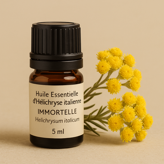 🌼 Huile essentielle d’Hélichryse italienne – Régénération, Cicatrisation et Harmonie Émotionnelle (5 ml)