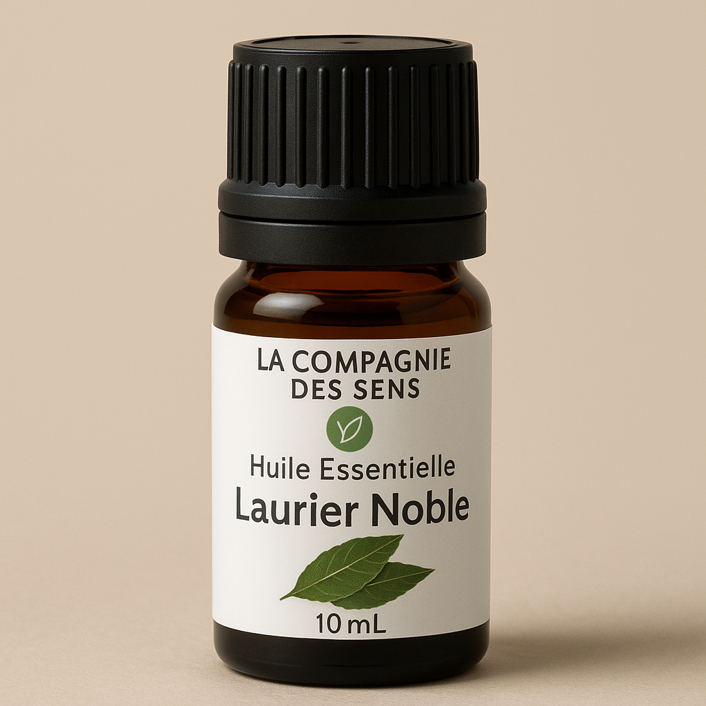 Huile essentielle de Laurier Noble – Confiance, Clarté & Respiration Naturelle