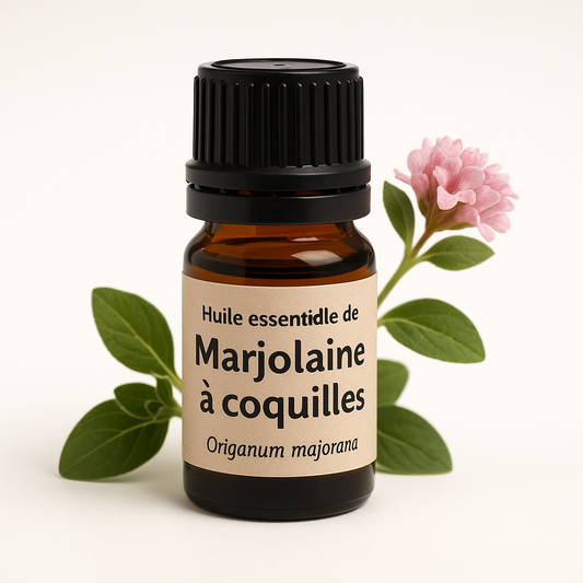 Huile essentielle de Marjolaine – Stress, Sommeil & Équilibre Émotionnel