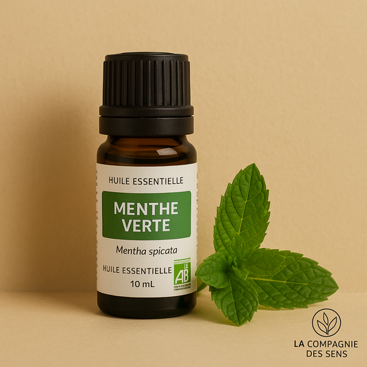 Huile essentielle de Menthe Verte  – Fraîcheur, Vitalité et Clarté d’Esprit