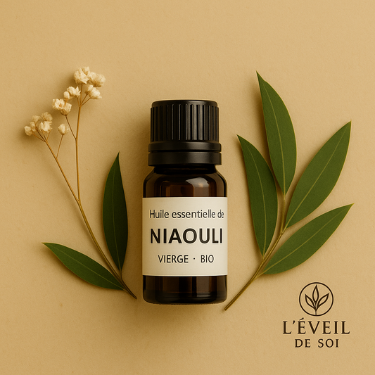 Huile essentielle de Niaouli  – Immunité, Respiration et Protection Naturelle
