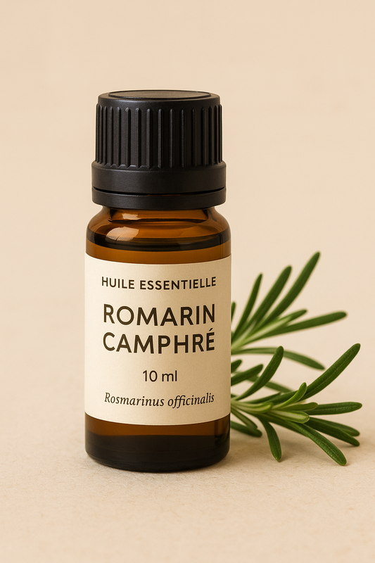 Huile essentielle de Romarin Camphré (10 ml)