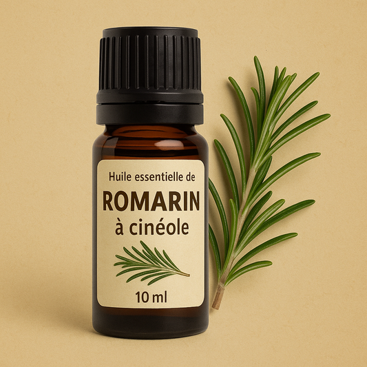 Huile essentielle de Romarin à Cinéole – Respiration, Énergie et Clarté d’Esprit