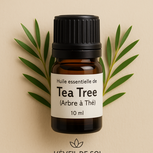 Huile essentielle de Tea Tree – Purification, Défense Naturelle & Peau Saine (10 ml)