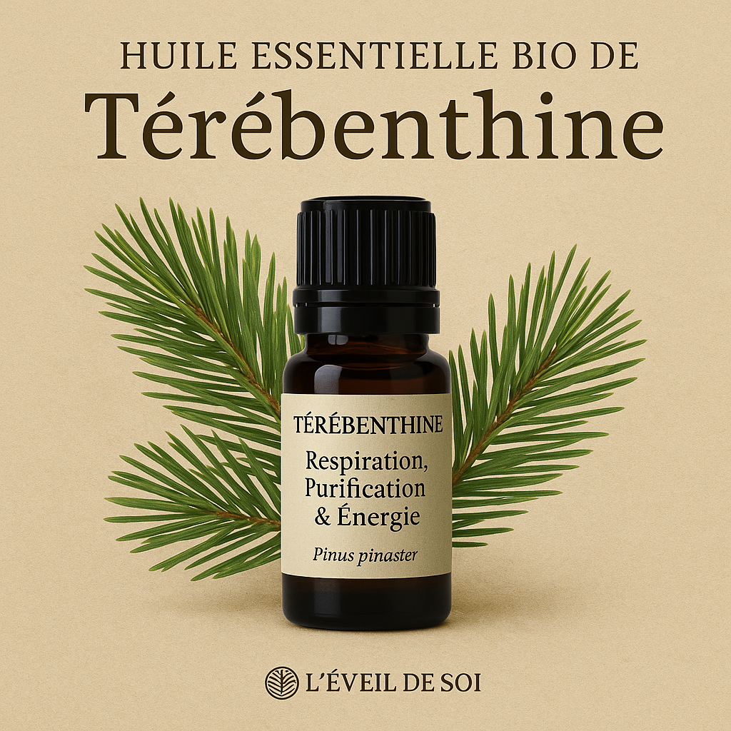 Huile Essentielle de Térébenthine BIO – Respiration, Purification & Énergie – Pinus pinaster